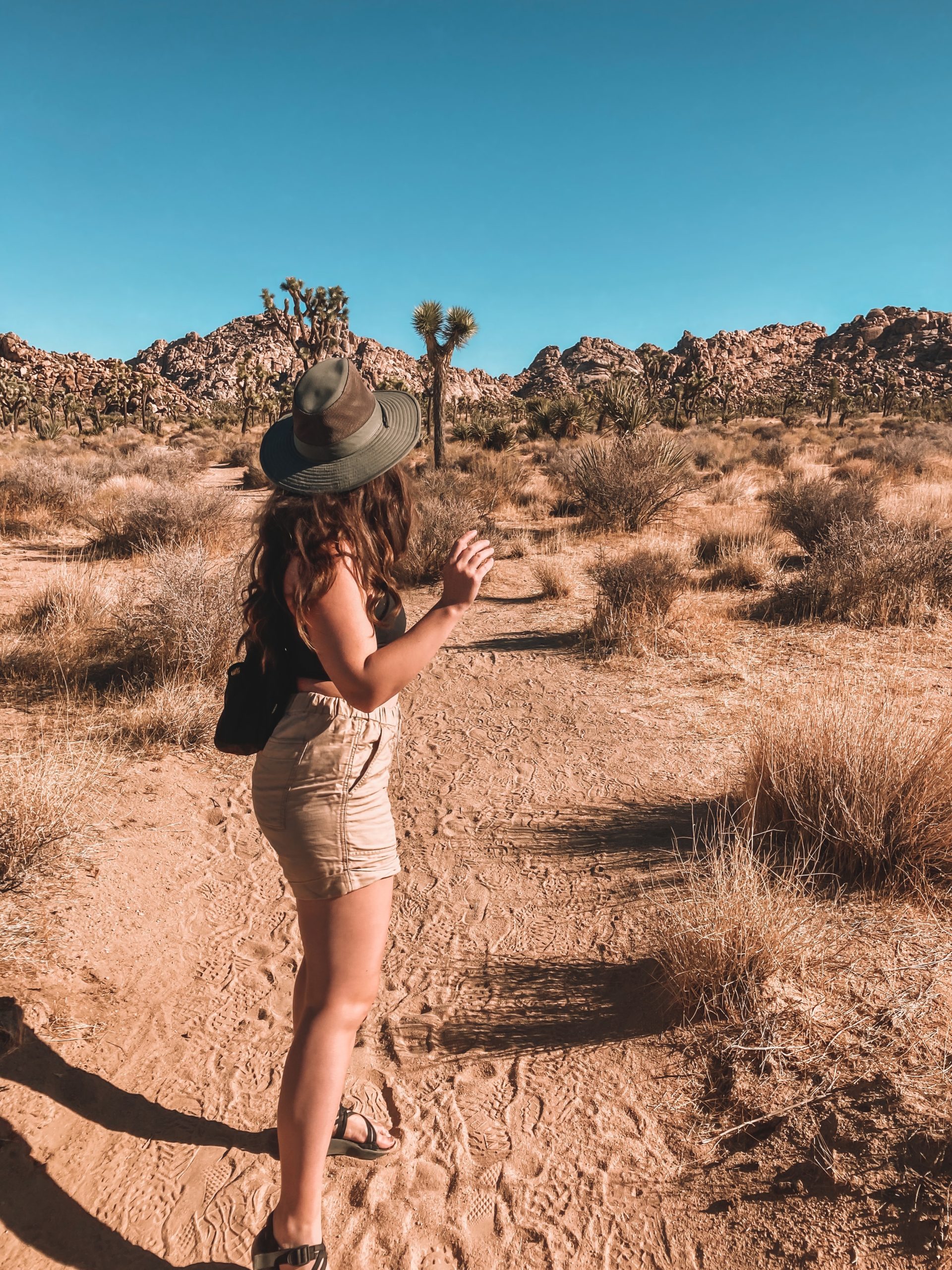 The Ultimate Day Guide to Joshua Tree NP