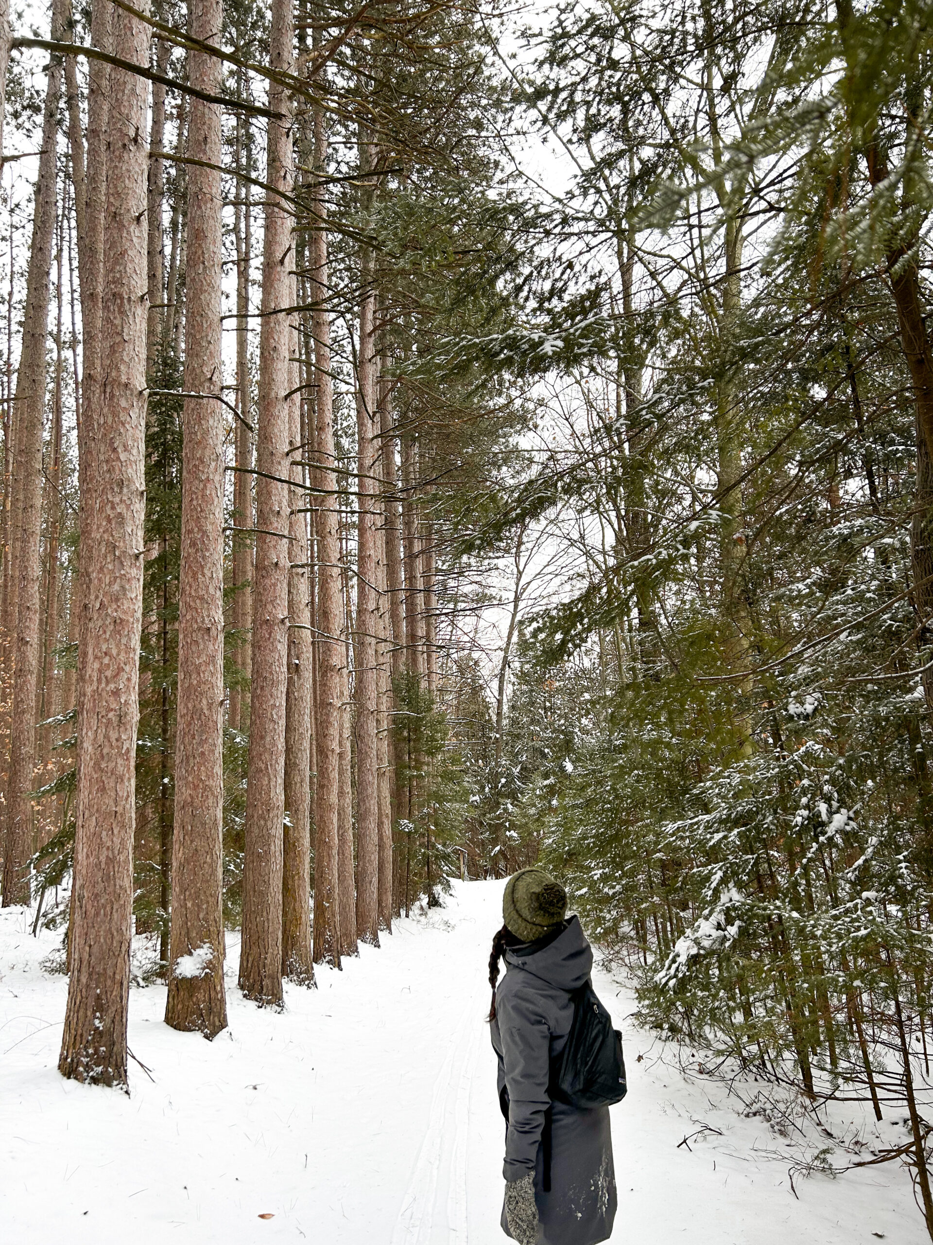 Hiking Trails Close to Detroit: the great outdoors within 1 hour